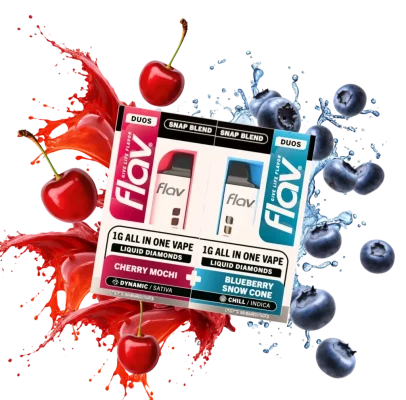 flav duos disposable